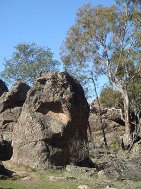 rocks