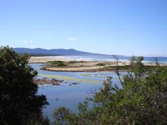 100917
