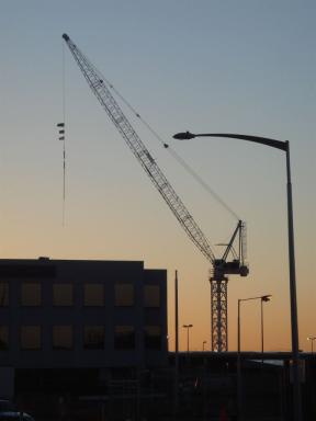 cranes2