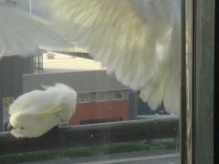 100987