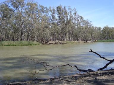 murrayriver