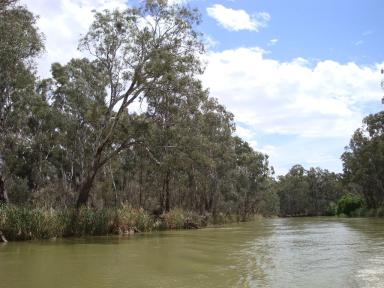 murraytrees