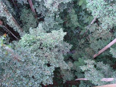lookingdown