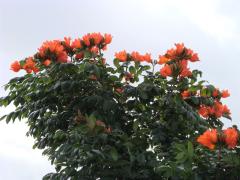 101787