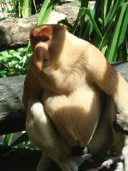 102158