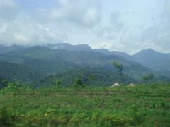102279