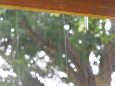 rain
