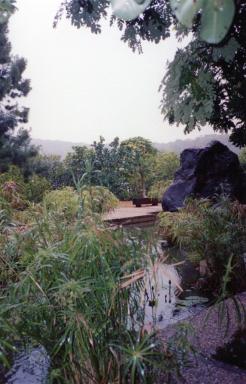cc4