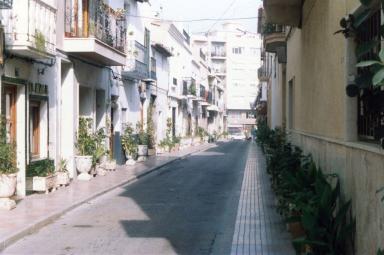 flowerystreet
