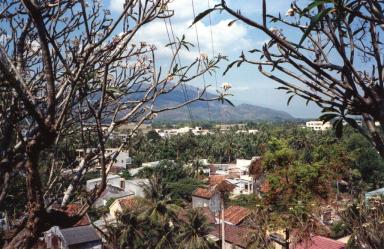 view1