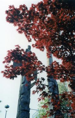 trees