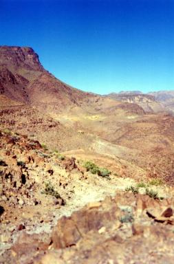 desert3