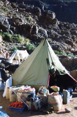 moroccofoodtent