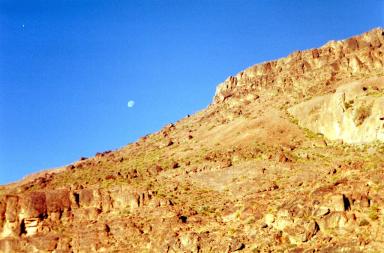 desert