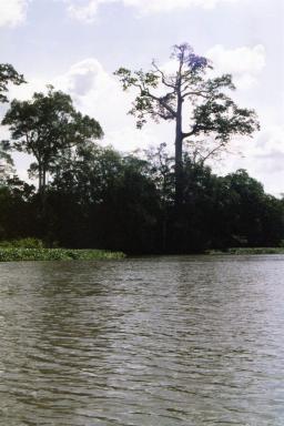 river1
