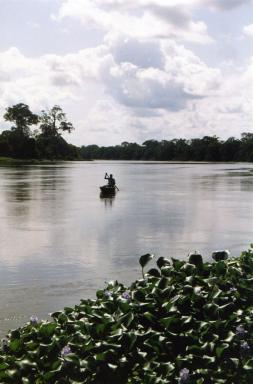 boatman