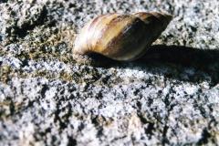 108905