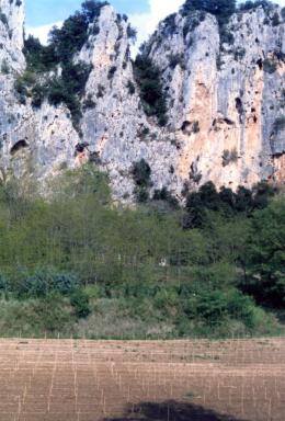 rock
