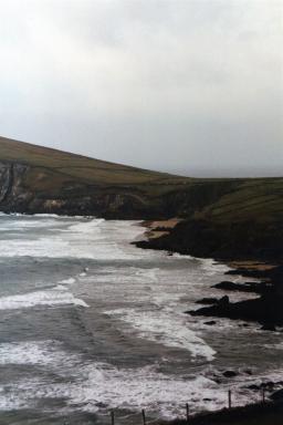 dingle1
