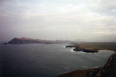 dingle2