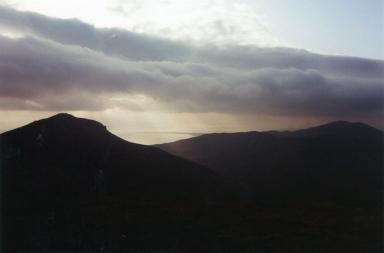 brooding