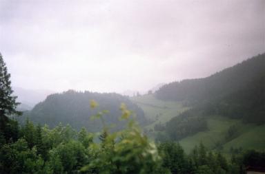 austrianwood