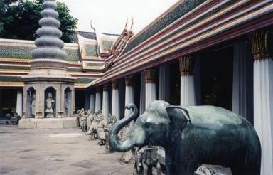 elephants
