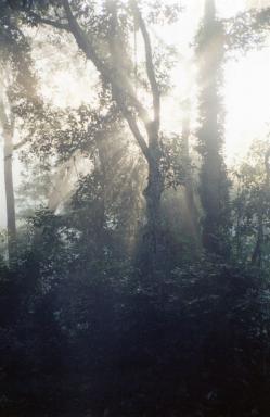 periyar1