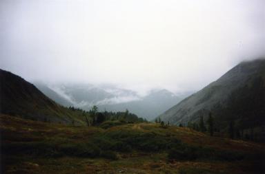 bleak
