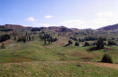 tumblyhills