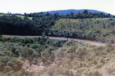 raurimu1