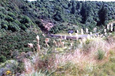 raurimu2