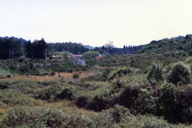 raurimu5
