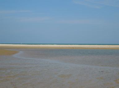 sea