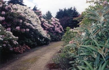 path