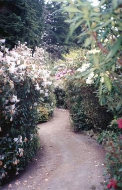 lane