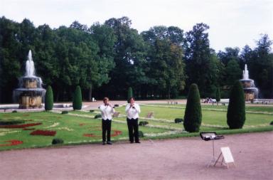 musicians