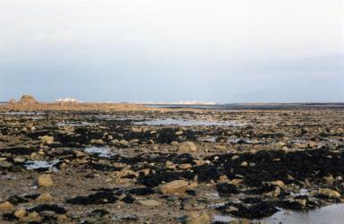 beach1