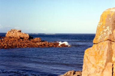 sea1