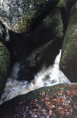 water