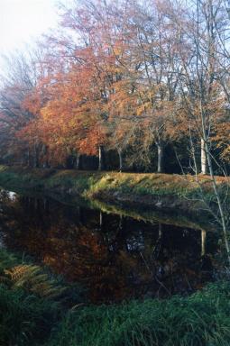 reflections