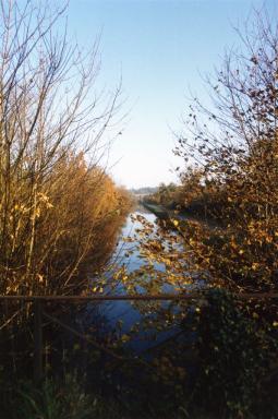 autumn