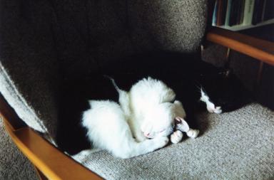 sarah&kitty2