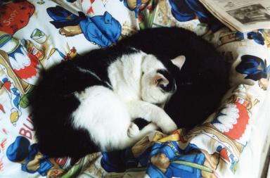 sarah&kitty3