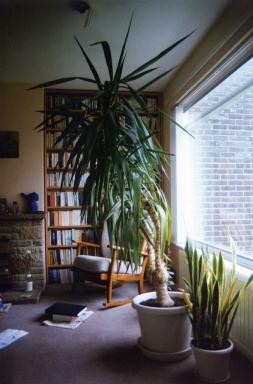 bookcases
