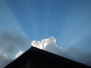 sunburst