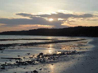 bira5