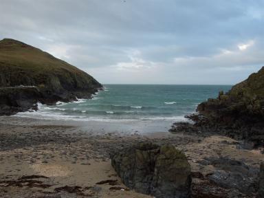 fenellabeach