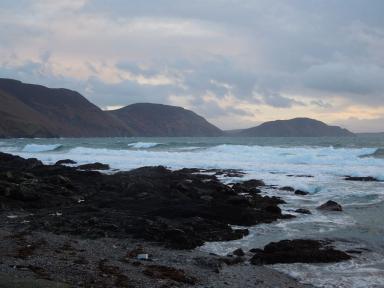 niarbyl