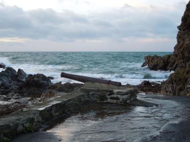 niarbyl